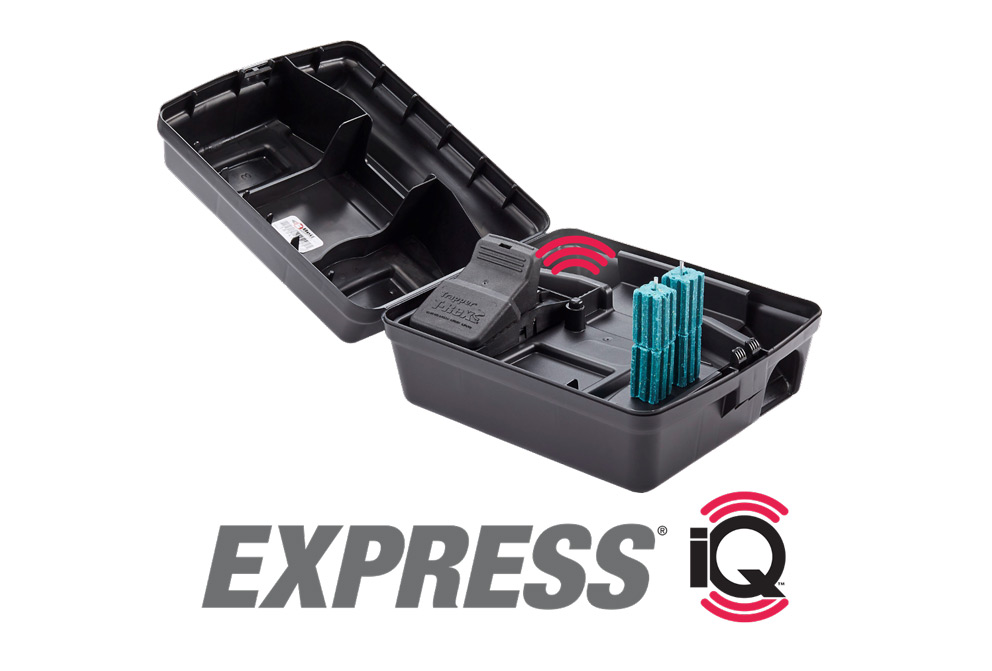 Product - Express iQ